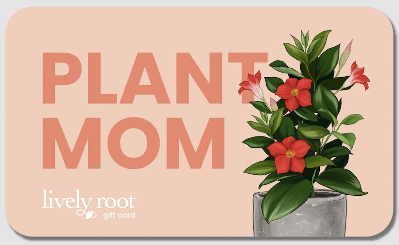 Mother's day plant delivery