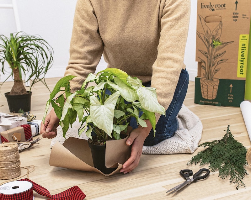 Plant Lover Gifts